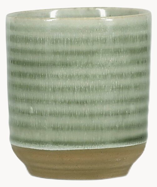Set di 4 tazze Cameo Green
