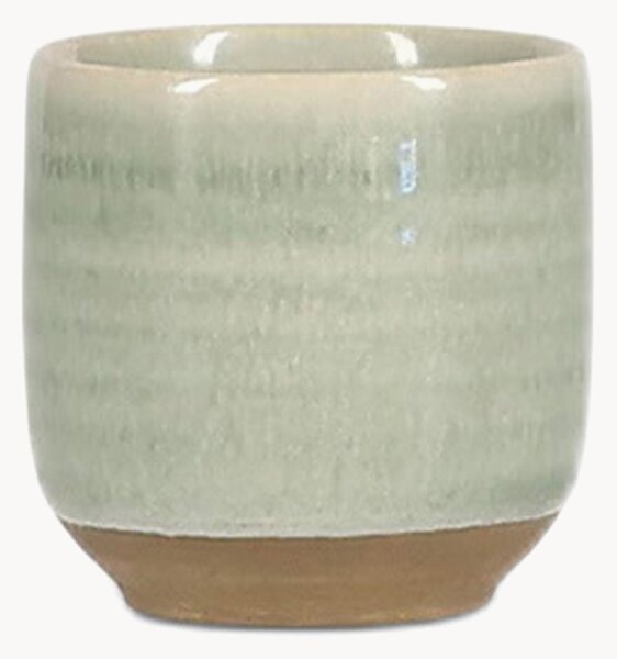 Set di 4 portauova Cameo Green