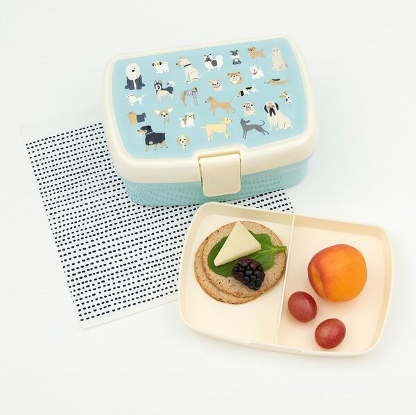 Portapranzo per bambini azzurro Best in Show – Rex London