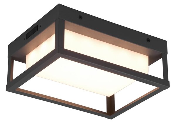 Lampada da parete per esterni a LED (altezza 24 cm) Witham - Trio