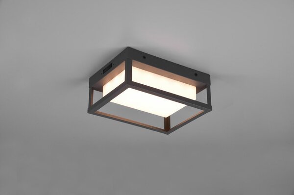 Lampada da parete per esterni a LED (altezza 24 cm) Witham - Trio