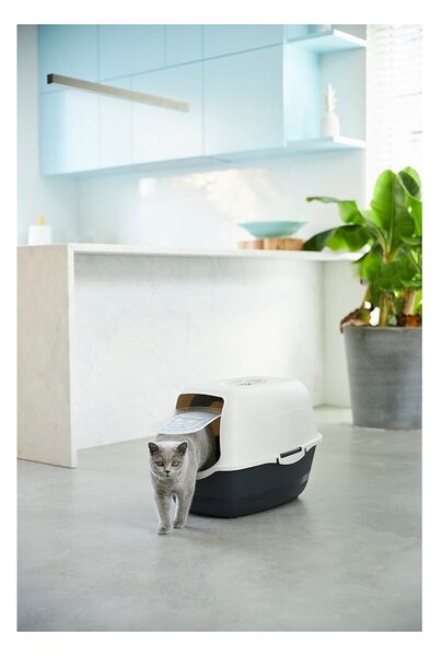 Lettiera per gatti 56x40 cm Eco Bailey - Rotho