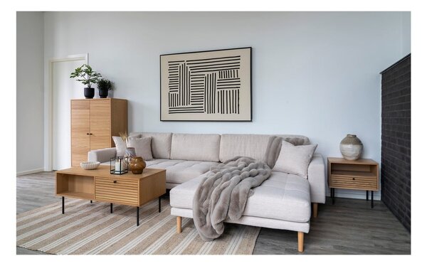 Cuscino decorativo in pelliccia finta 45x45 cm Galena – House Nordic