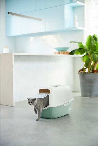 Lettiera per gatti 56x40 cm Eco Bailey - Rotho