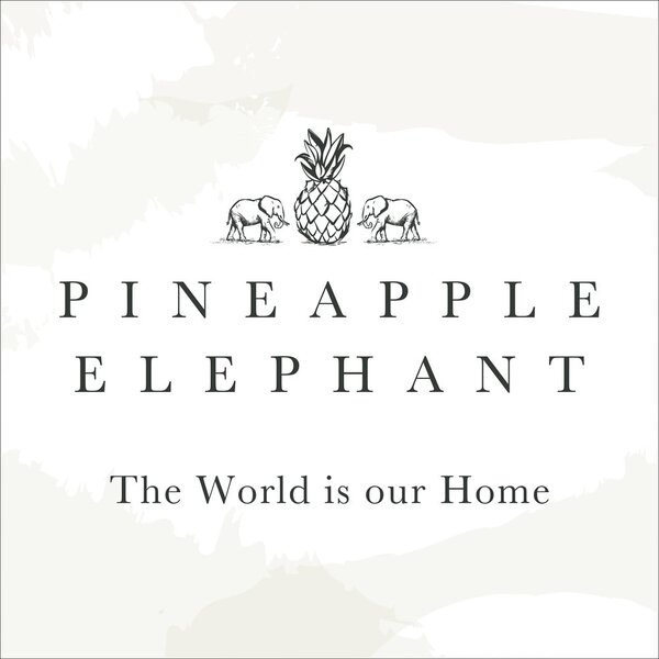 Federe per cuscino in set 2 pz 50x75 cm Tamba Stripe – Pineapple Elephant