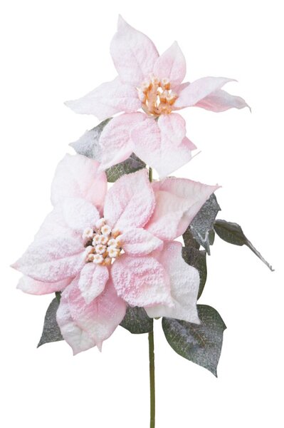 Set 6 Rami Artificiali Stella Natale con Neve 55 cm in Sintetico Rosso