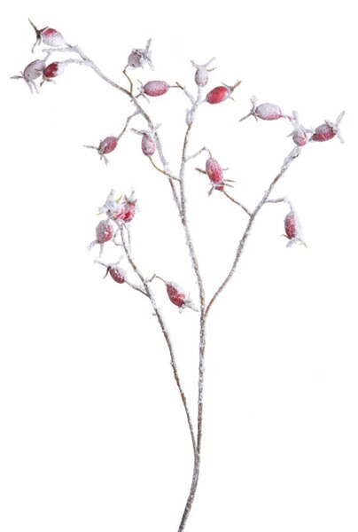 Set 12 Rami Artificiali Rosa Canina Innevata 77 cm in Sintetico