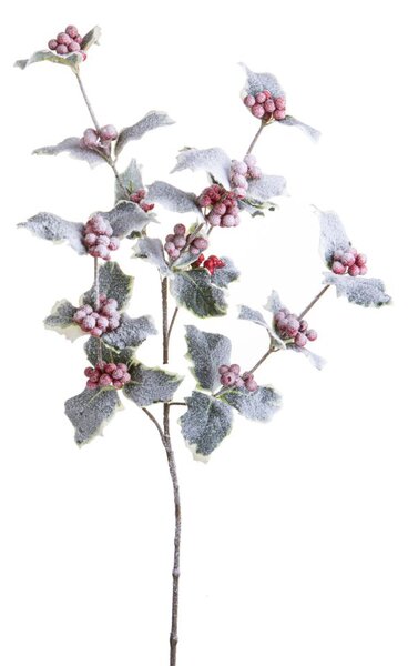 Set 12 Rami Artificiali Agrifoglio Innevato 66 cm