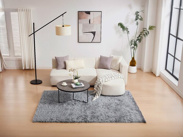 Tappeto shaggy a pelo lungo ultra morbido 200 x 290 cm Grigio - DOLCE