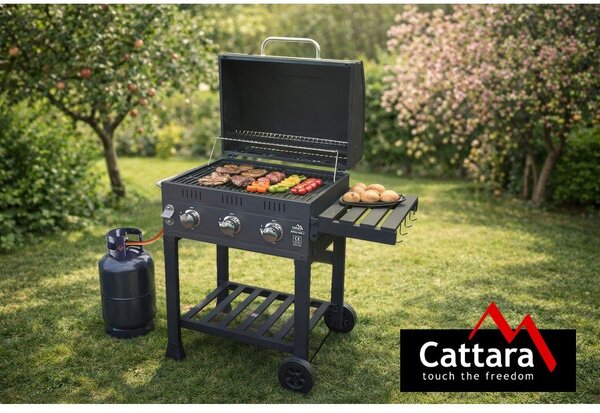 Griglia a gas Royal Gas L – Cattara