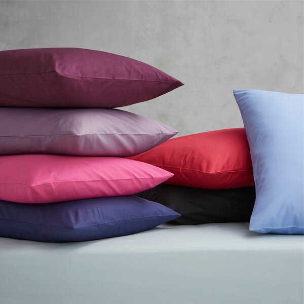 Federe per cuscino in set in percalle 2 pz 50x75 cm Easy Iron Percale – Catherine Lansfield