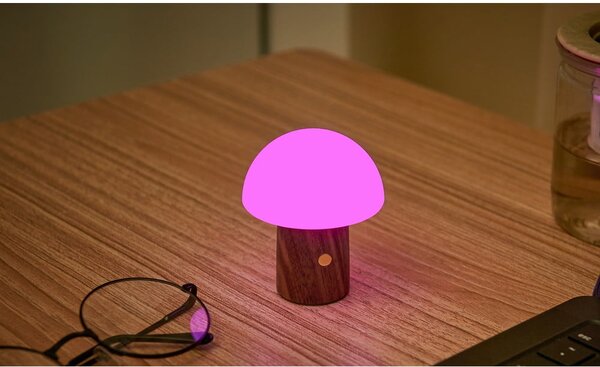 Lampada da tavolo LED bianca/colore naturale scuro (altezza totale 7 cm) Alice Mushroom – Gingko