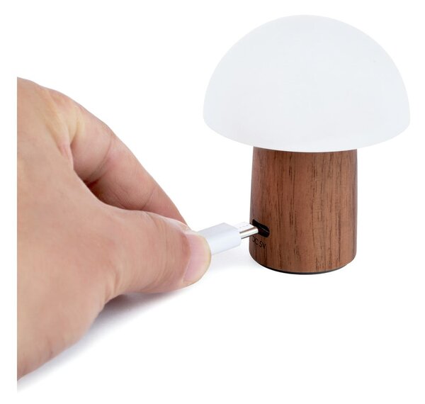 Lampada da tavolo LED bianca/colore naturale scuro (altezza totale 7 cm) Alice Mushroom – Gingko