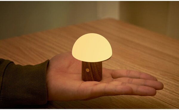 Lampada da tavolo LED bianca/colore naturale scuro (altezza totale 7 cm) Alice Mushroom – Gingko