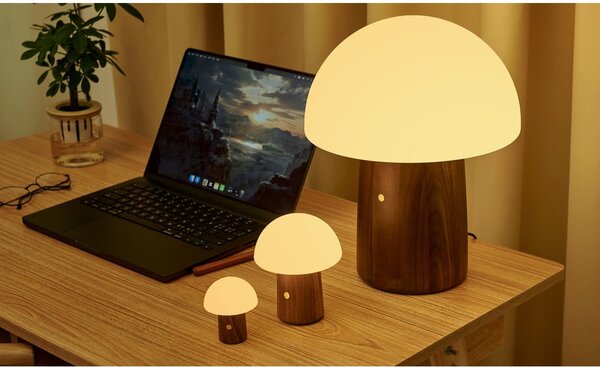 Lampada da tavolo LED bianca/colore naturale scuro (altezza totale 7 cm) Alice Mushroom – Gingko