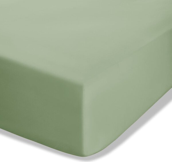 Lenzuolo con angoli verde in percalle 90x190 cm Easy Iron Percale – Catherine Lansfield