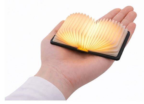Decorazione luminosa nera con ricarica USB portatile BookLight – Gingko