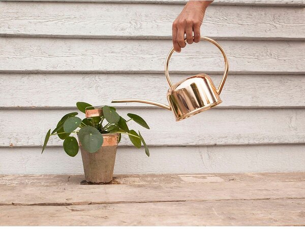 Annaffiatoio in metallo 1 l – Esschert Design