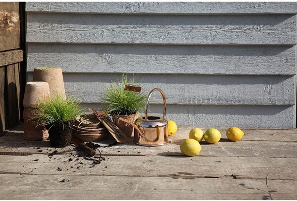 Annaffiatoio in metallo 1 l – Esschert Design