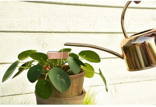 Annaffiatoio in metallo 1 l – Esschert Design