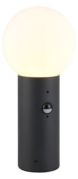 Illuminazione esterna con sensore di movimento a colonna ø 18 cm Mures – Trio