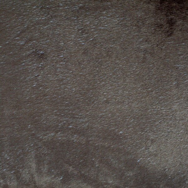 Cuccia beige in camoscio per cane 107x62 cm Flakes – Love Story
