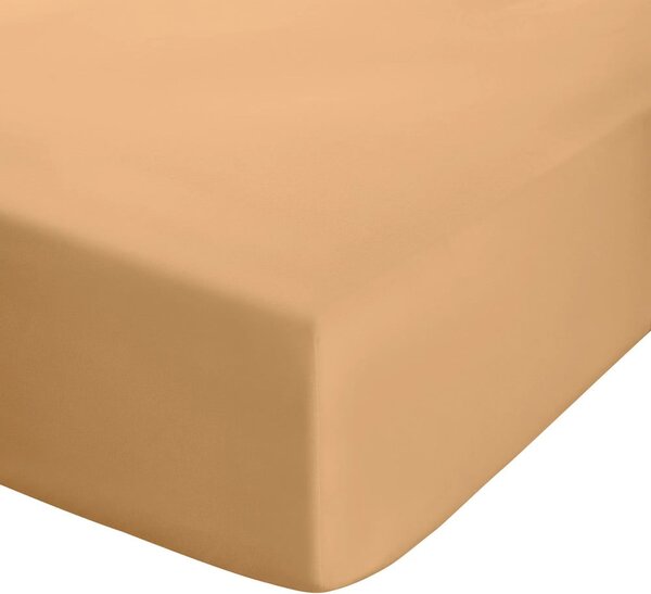 Lenzuolo con angoli giallo e arancione in percalle 90x190 cm Easy Iron Percale – Catherine Lansfield