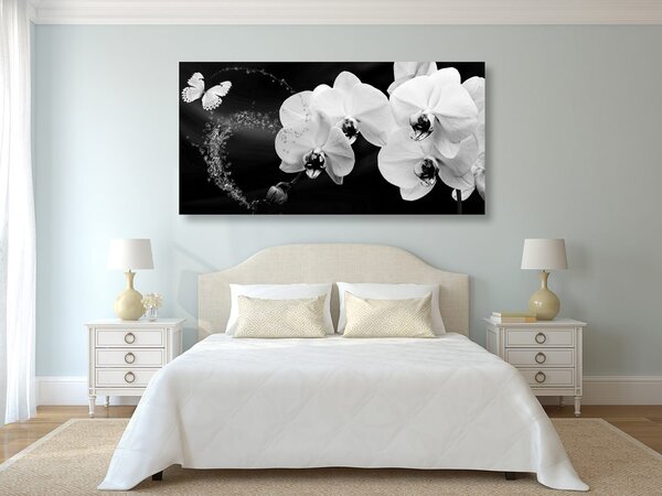 Stampa su tela – Orchidea e farfalla in bianco e nero