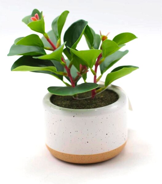 Pianta artificiale Succulenta H17 cm con Vaso Verde