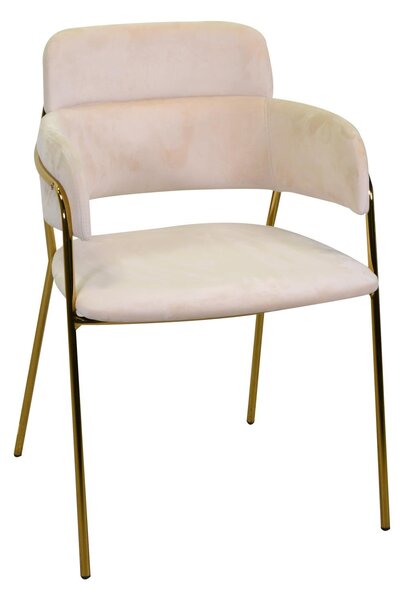 Sedia Imbottita 52x52xh79 cm in Tessuto Velluto Hannover Crema