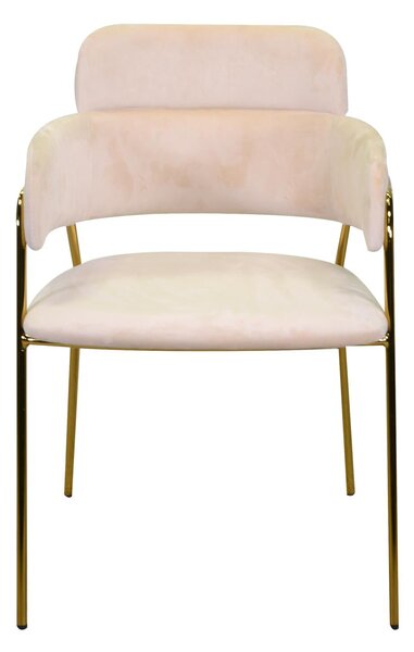 Sedia Imbottita 52x52xh79 cm in Tessuto Velluto Hannover Crema