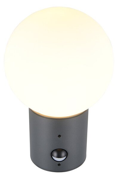 Illuminazione esterna con sensore di movimento da parete ø 18 cm Mures – Trio