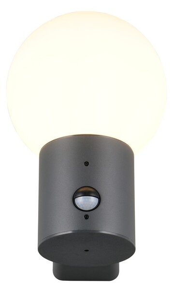 Illuminazione esterna con sensore di movimento da parete ø 18 cm Mures – Trio