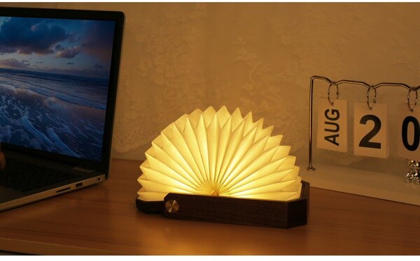 Decorazione luminosa bianca/colore naturale scuro con ricarica USB Origami – Gingko