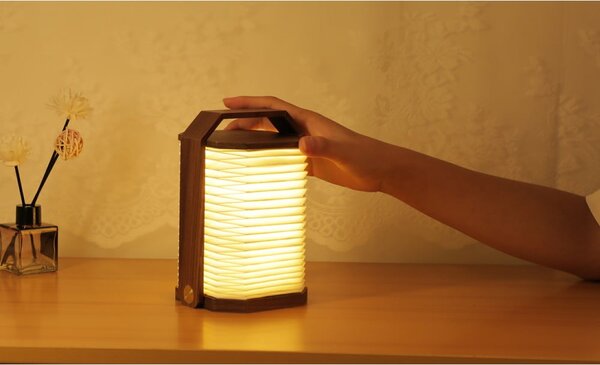 Decorazione luminosa bianca/colore naturale scuro con ricarica USB Origami – Gingko
