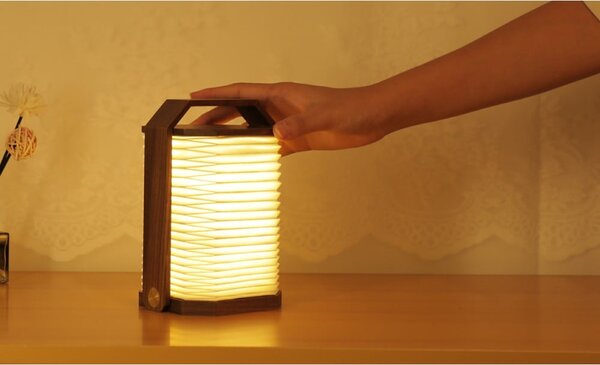Decorazione luminosa bianca/colore naturale scuro con ricarica USB Origami – Gingko