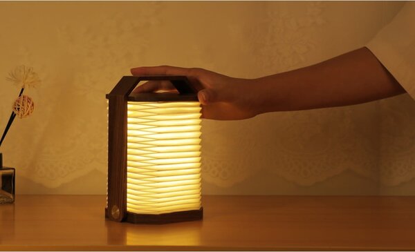 Decorazione luminosa bianca/colore naturale scuro con ricarica USB Origami – Gingko