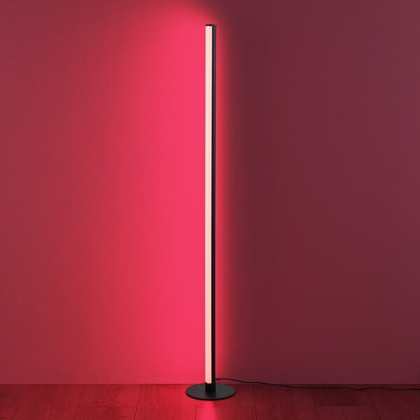 Lampada da terra LED nera (altezza totale 110 cm) Tendo – Reality