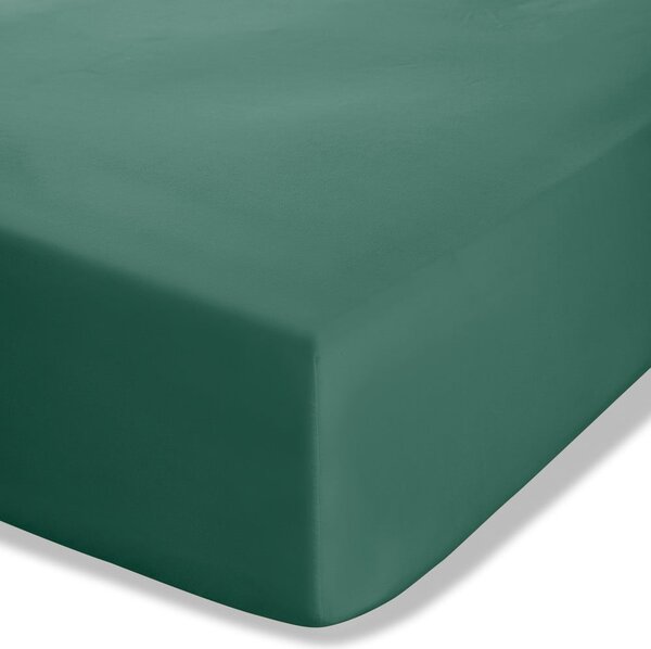 Lenzuolo con angoli verde scuro in percalle 90x190 cm Easy Iron Percale – Catherine Lansfield