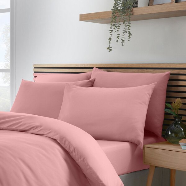 Federe per cuscino in set 4 pz 50x75 cm So Soft Non-Iron – Catherine Lansfield