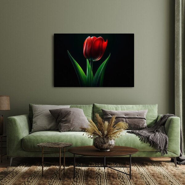 Quadro su tela – Eleganza del tulipano rosso