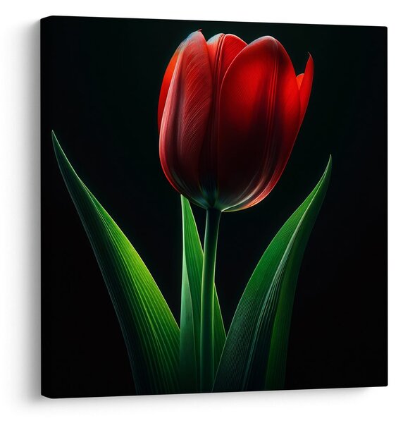 Quadro su tela – Fiore di tulipano nella notte
