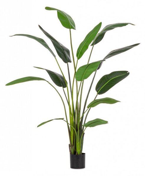 Set 2 Piante Artificiali Strelitzia 120x100x235 cm in Plastica con Vasi Verde