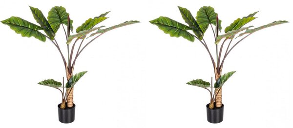 Set 2 Piante Artificiali Dieffenbachia Ø100x134 cm in Plastica con Vasi Verde