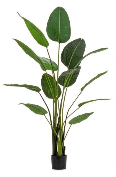 Set 2 Piante Artificiali Strelitzia 170x32x185 cm in Plastica con Vasi Verde