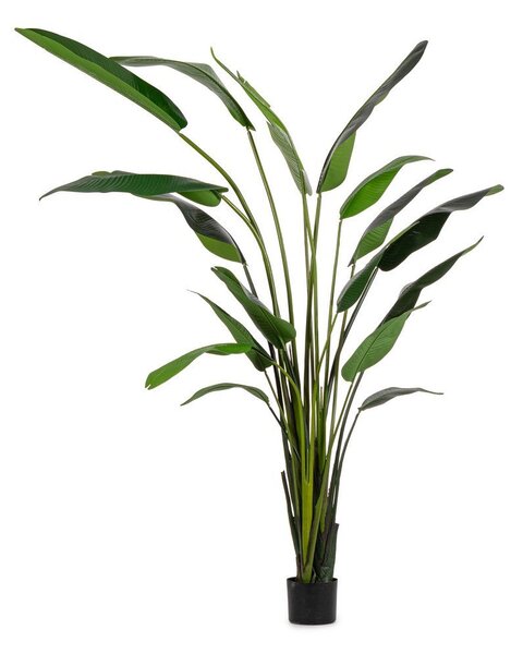 Pianta Artificiale Strelitzia 180x140x310 cm in Plastica con Vaso Verde