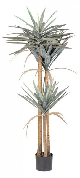 Set 2 Piante Artificiali Yucca 80x75x152 cm in Plastica con Vasi Verde