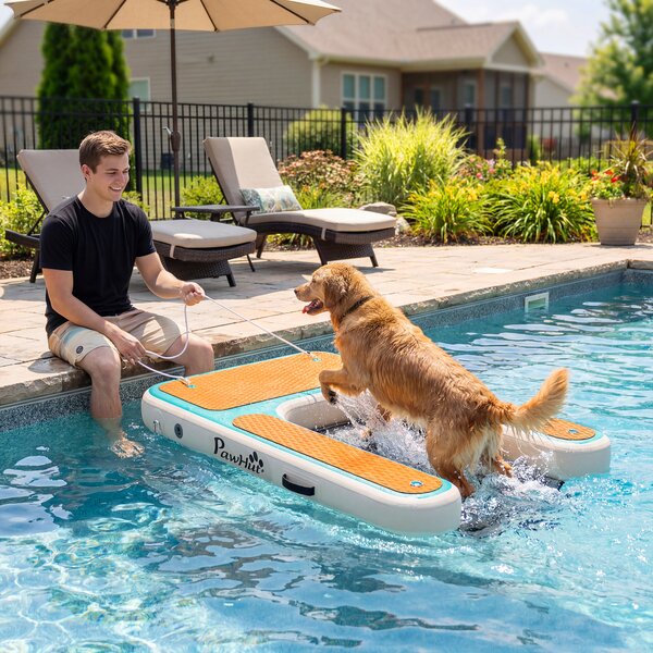 PawHut Rampa Gonfiabile per Cani XL per Piscina, Barca e Piattaforma, 151x102cm | Aosom Italy