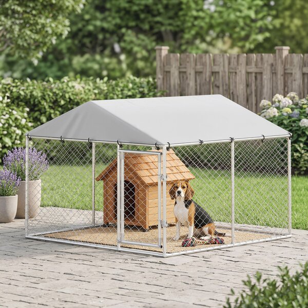 Recinto per Cani da Esterno 230x230x170 cm con Tetto in PE Anti-UV Impermeabile Doppia Chiusura in Acciaio Zincato Argento