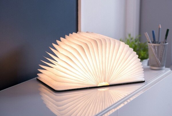 Decorazione luminosa nera con ricarica USB Booklight – Gingko